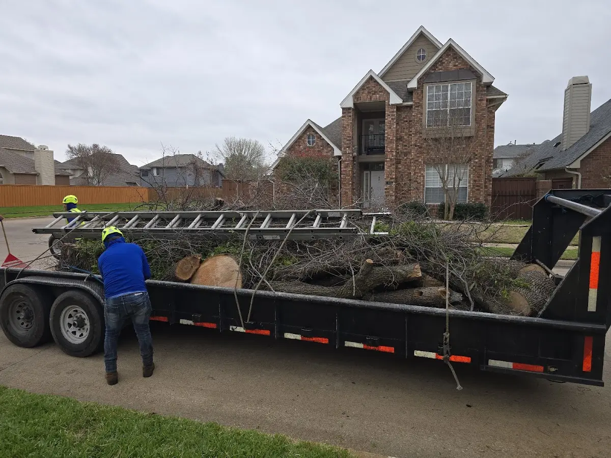 Expert Tree Removal with proper safety equipment in North Sioux City